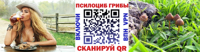 цены наркотик OMG как войти Псилоцибиновые грибы мухоморы Отрадная